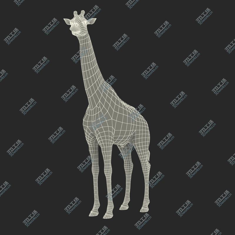 images/goods_img/2021040232/3D Giraffe Standing Pose Fur 3D Model/4.jpg